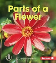 Tapa de Parts of a Flower