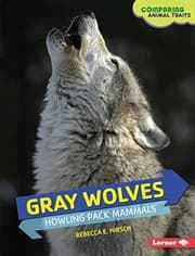 Tapa de Gray Wolves