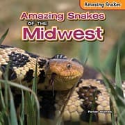 Tapa de Amazing Snakes of the Midwest