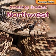 Tapa de Amazing Snakes of the Northwest