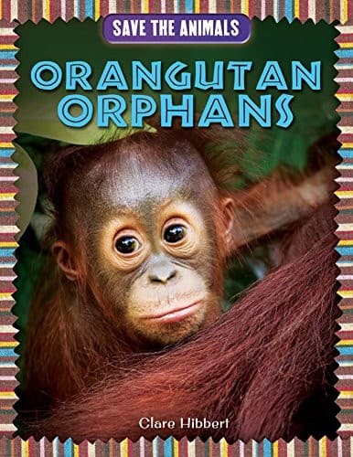 Tapa de Orangutan Orphans