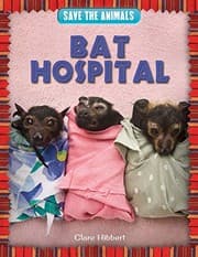 Tapa de Bat Hospital