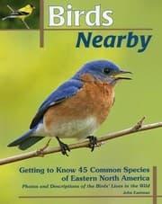 Tapa de Birds Nearby