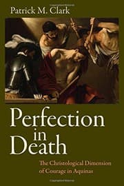 Tapa de Perfection in Death