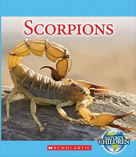 Tapa de Scorpions