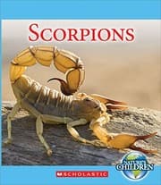 Tapa de Scorpions