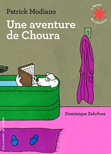 Tapa de Une aventure de Choura