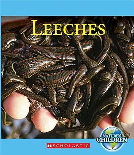 Tapa de Leeches