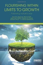 Tapa de Flourishing Within Limits to Growth