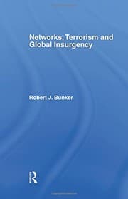 Tapa de Networks, Terrorism and Global Insurgency