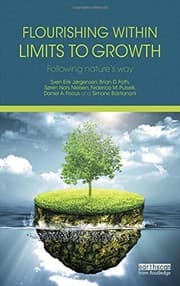 Tapa de Flourishing Within Limits to Growth
