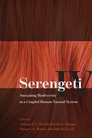 Tapa de Serengeti IV