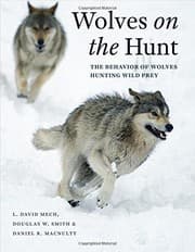 Tapa de Wolves on the Hunt