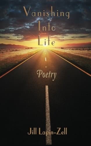 Tapa de Vanishing Into Life
