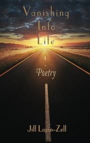 Tapa de Vanishing Into Life