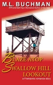 Tapa de Blaze Atop Swallow Hill Lookout
