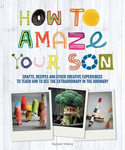 Tapa de How to Amaze Your Son