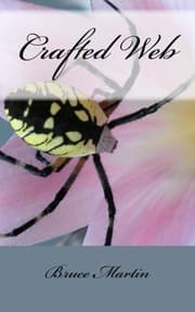 Tapa de Crafted Web