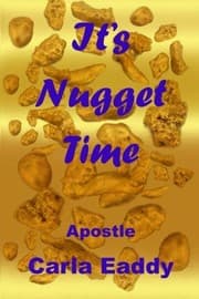 Tapa de It's Nugget Time