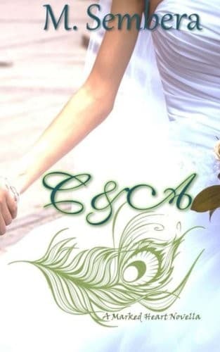Tapa de C&A Novella
