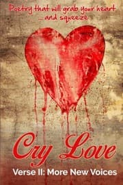 Tapa de Cry Love