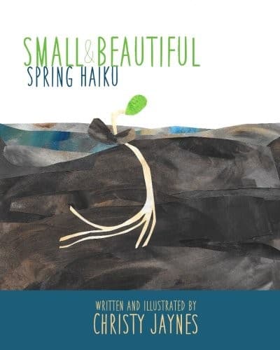 Tapa de Small & Beautiful