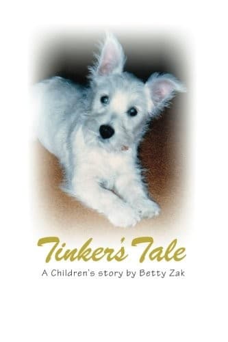 Tapa de Tinker's Tale