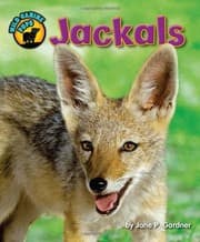 Tapa de Jackals