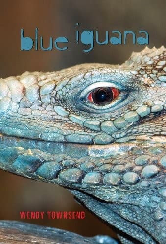 Tapa de Blue Iguana