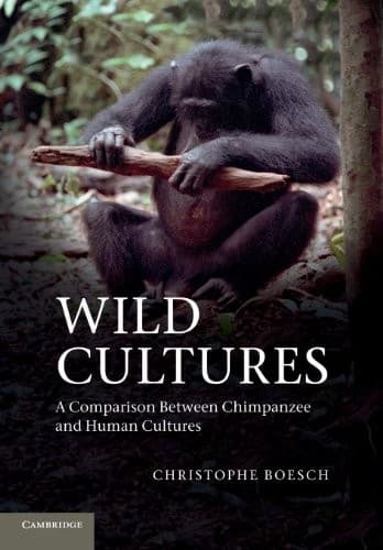 Tapa de Wild cultures