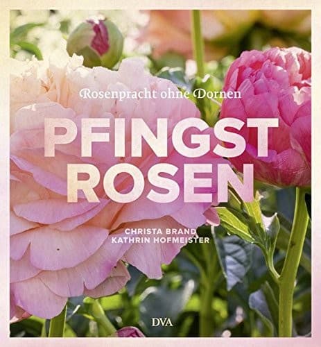 Tapa de Pfingstrosen