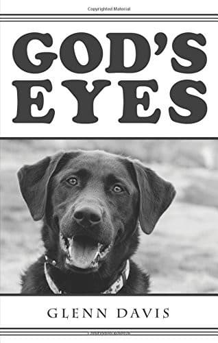 Tapa de God's Eyes