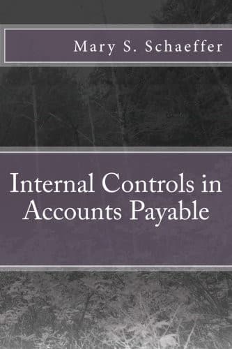 Tapa de Internal Controls in Accounts Payable