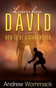 Tapa de Lessons from David