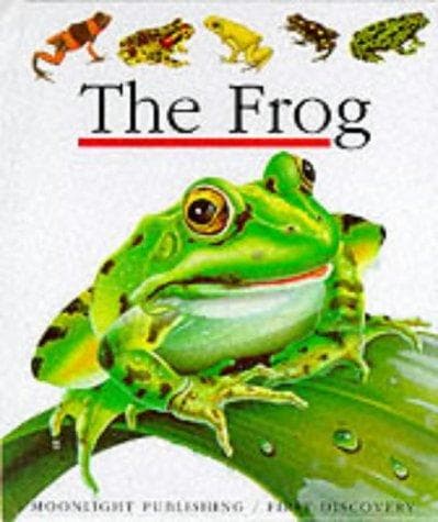 Tapa de The Frog (First Discovery)