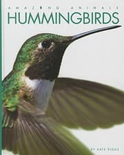 Tapa de Hummingbirds