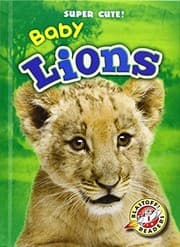 Tapa de Baby Lions