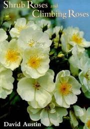 Tapa de Shrub roses and climbing roses