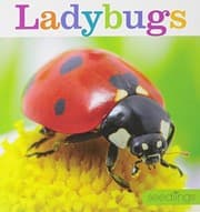 Tapa de Ladybugs