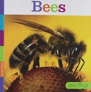 Tapa de Bees