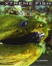 Tapa de Eels