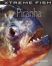 Tapa de Piranha