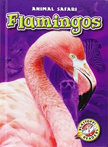 Tapa de Flamingos