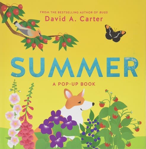 Tapa de Summer
