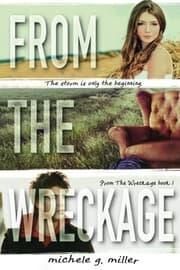 Tapa de From The Wreckage