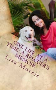 Tapa de One Life at a Time