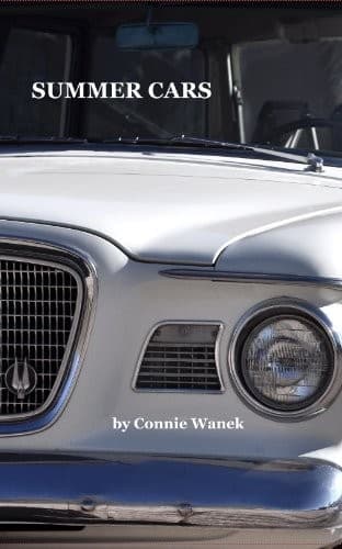 Tapa de Summer Cars