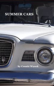 Tapa de Summer Cars