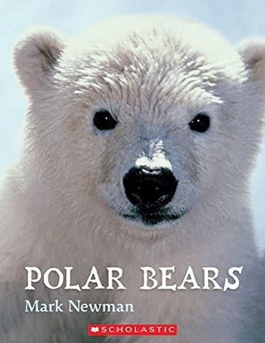 Tapa de Polar Bears