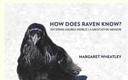 Tapa de How Does Raven Know?